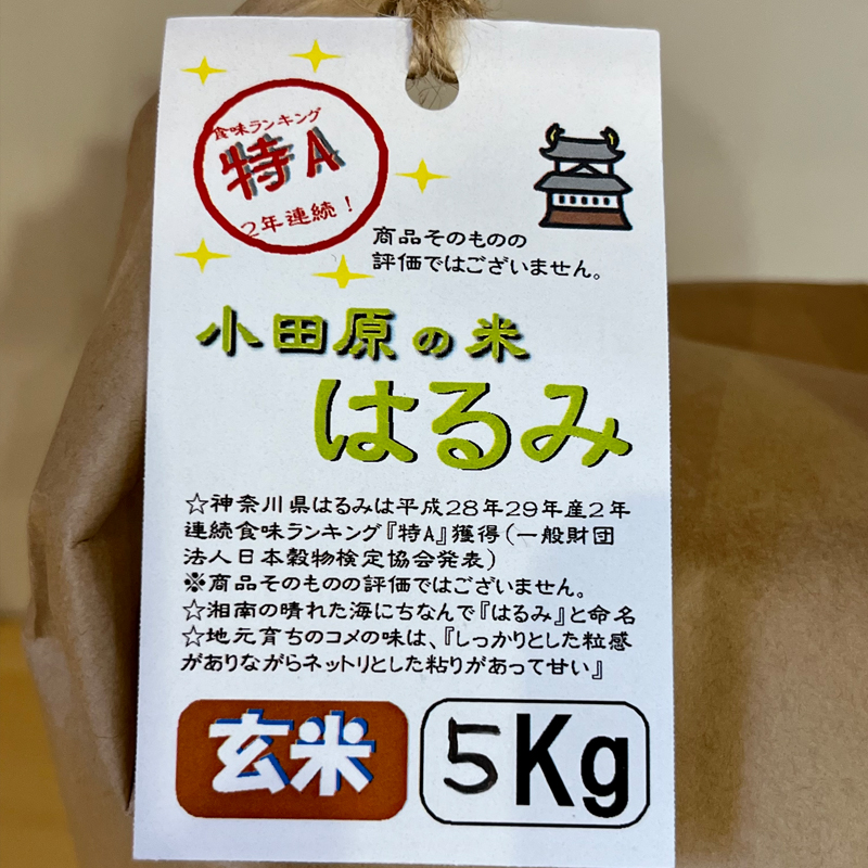 93-2068 志村屋米穀店 令和5年産新米小田原市産　はるみ(玄米) 　20kg（5kgｘ4）＜出荷時期：10月中旬より順次出荷開始＞