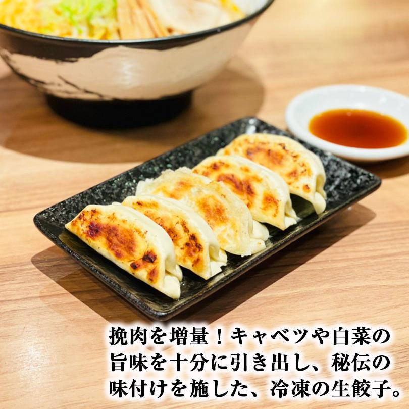 西山製麺 冷凍生餃子 プレーン 24個入×5袋セット 送料無料 業務用 惣菜 ぎょうざ ギョウザ 水餃子 中華 ラーメン 西山 国産 お取り寄せ お土産 北海道