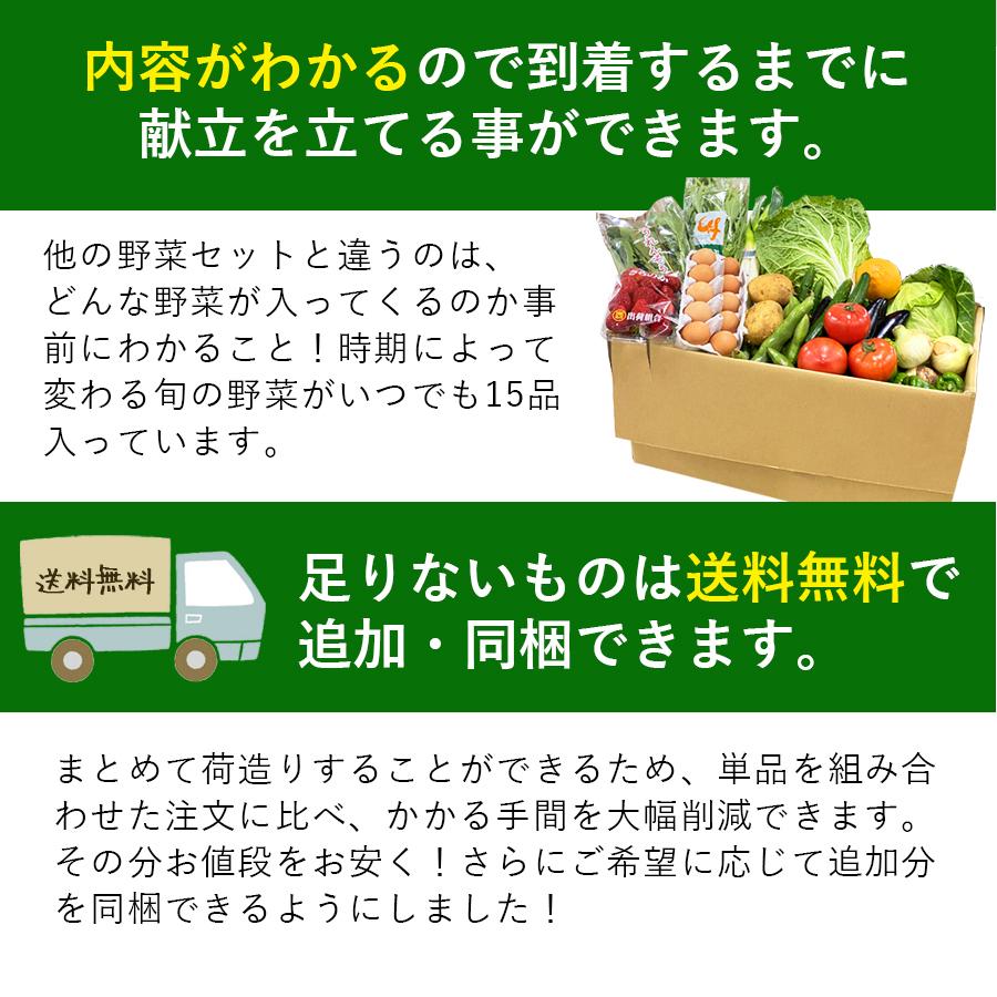 なかみがわかるデラックスセット（野菜・果物）　全15品　Ｎ17