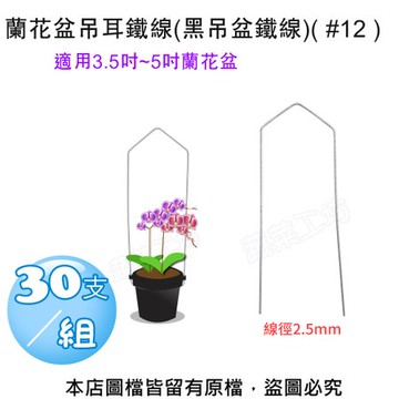 蘭花盆吊耳鐵線(黑吊盆鐵線)#12  30支/組