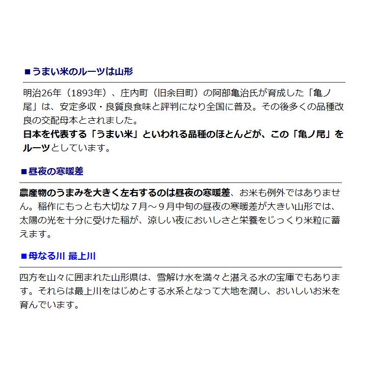 新米 お米 ひとめぼれ 玄米 30kg 山形県庄内産 一等米 5kg×6袋 送料無料 令和5年産