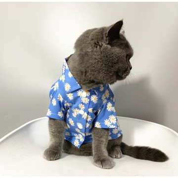 潮貓咪衣服夏季薄款防掉毛寵物狗透氣薄款襯衫貓衣服 小雛菊襯衫