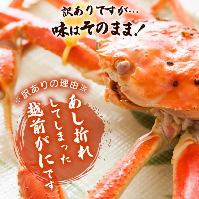 ふるさと納税 越前町 地元鮮魚店厳選  ≪浜茹で≫ 足折れ 越前がに 大サイズ 1杯