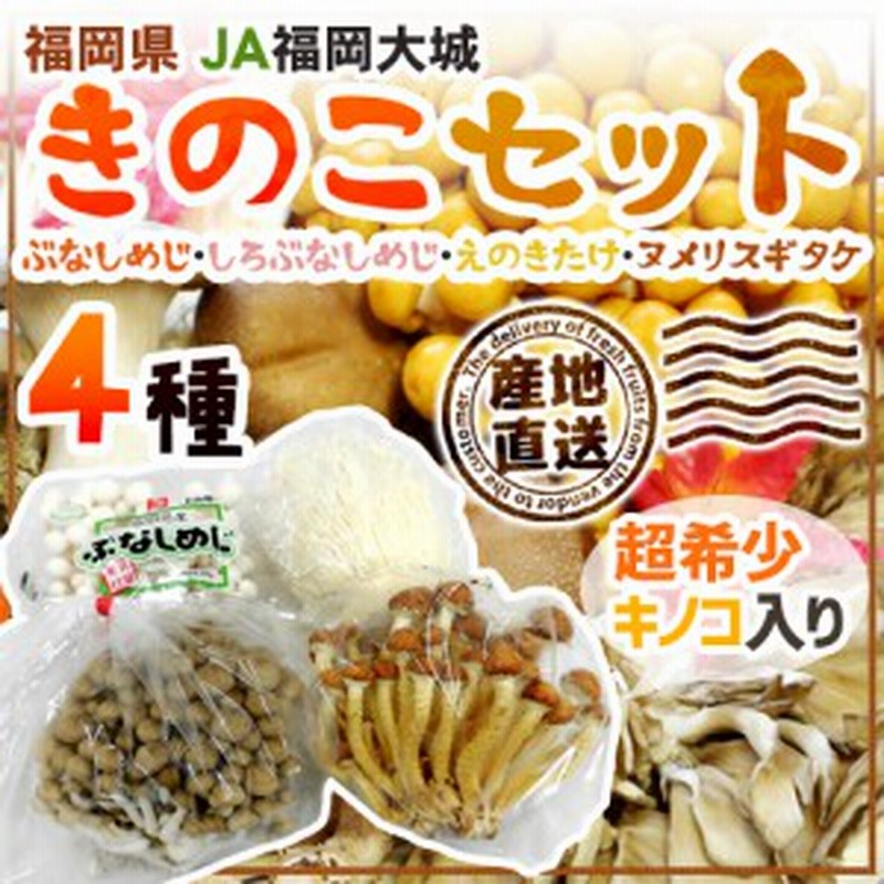 送料無料 Ja福岡大城 きのこ4種セット ブナシメジ ホワイトブナシメジ他 予約 順次発送 産地直送 通販 Lineポイント最大1 0 Get Lineショッピング