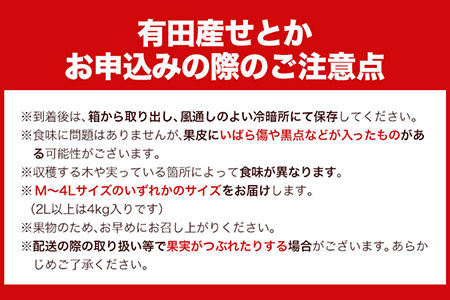 一度は食べていただきたい! 有田産のせとか 青秀以上 約4～5kg （サイズおまかせ） 厳選館 《2024年2月下旬-4月上旬頃より順次出荷》 和歌山県 日高川町 せとか 柑橘 有田産---wshg_genseto_l24_22_19000_5kg---