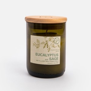 美國Paddywax 綠生態系列 桉樹鼠尾草 香氛蠟燭 226g