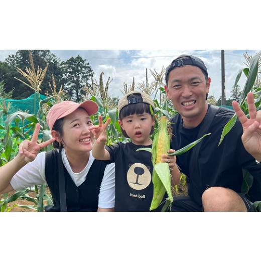 ふるさと納税 千葉県 香取市 THE FARMの 野菜 詰め合わせセット こだわり厳選した旬な野菜をお届け!