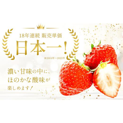 ふるさと納税 福岡県 遠賀町 あまおう 約280g×2パック 苺 イチゴ いちご 果物 フルーツ