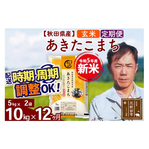 ふるさと納税 秋田県 北秋田市 《定期便12ヶ月》＜新米＞秋田県産 あきたこまち 10kg(5kg小分け袋) 令和5年産 お届け時期選べる 隔月お届けOK お米 み…