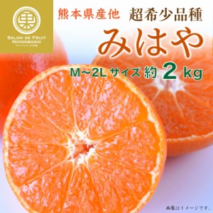 [予約 2023年 11月25日-12月15日の納品] みはや 約2kg M-2L 熊本県産ほか 化粧箱 みはやみかん 早生 紅みかん 柑橘 高糖度　 冬ギフト お