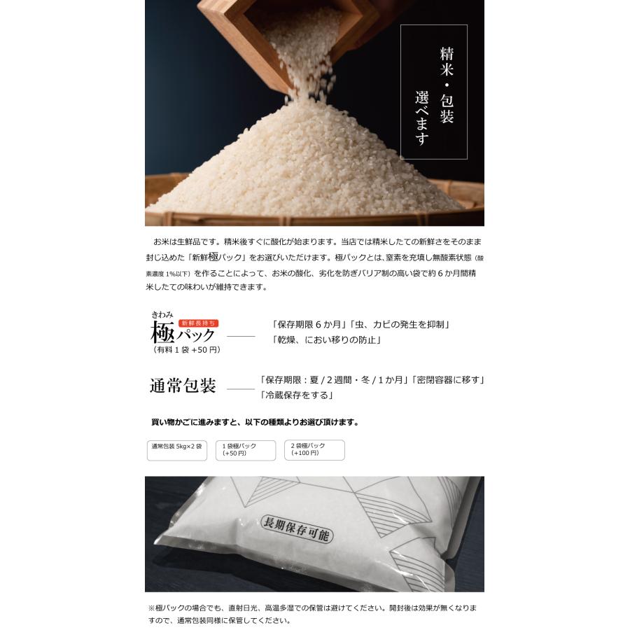 新米 米 お米 10kg ミルキークイーン 無洗米 熊本県産 令和5年産 5kg×2袋 みるきーくいーん