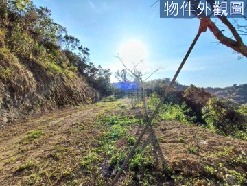專任＆中寮綠意盎然自然生態2.5分休閒農地｜南投縣中寮鄉分水寮段