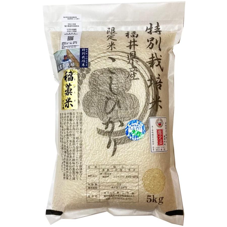 特別栽培米 減農薬コシヒカリ 5kg (白米)