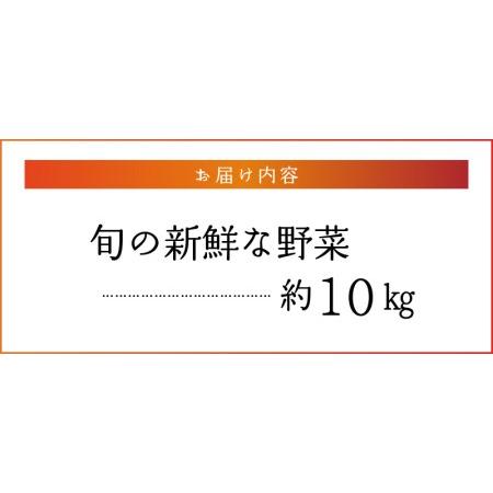 ふるさと納税 福岡県久留米市産　新鮮野菜セット_福岡県 久留米市産 新鮮野菜 セット 10品目 旬の野菜 詰め合わせ 新鮮 野菜 水菜 小松菜 ほう.. 福岡県久留米市