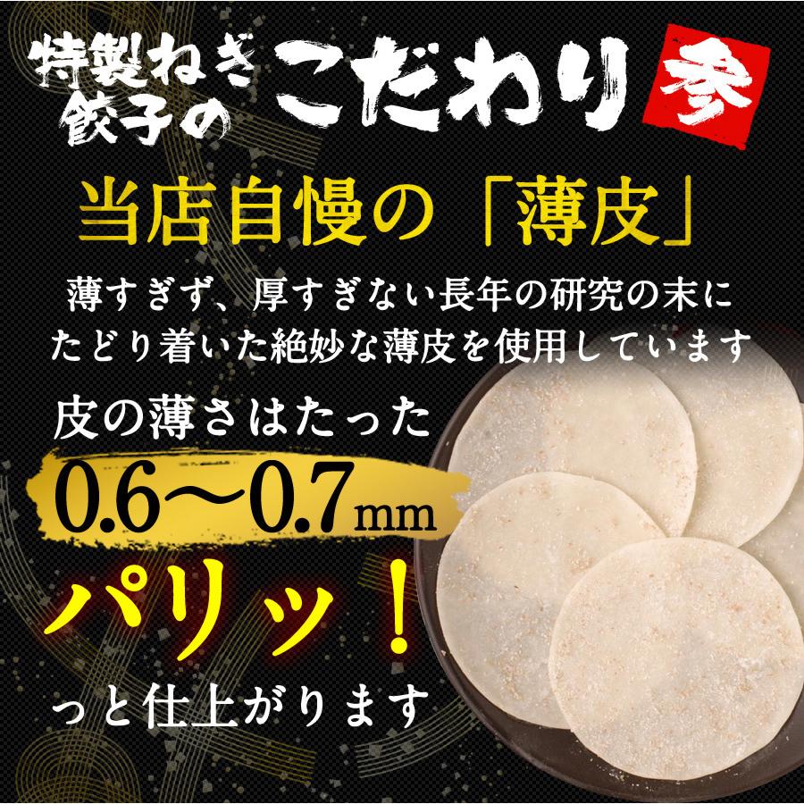 餃子 取り寄せ 送料無料 業務用 冷凍 生餃子 国産素材 時短 お手軽 簡単 大容量 餃子計画 緑皮九条ねぎ餃子100個入り