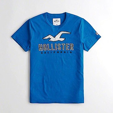 Hollister HCO  短袖 T恤 藍色 0961