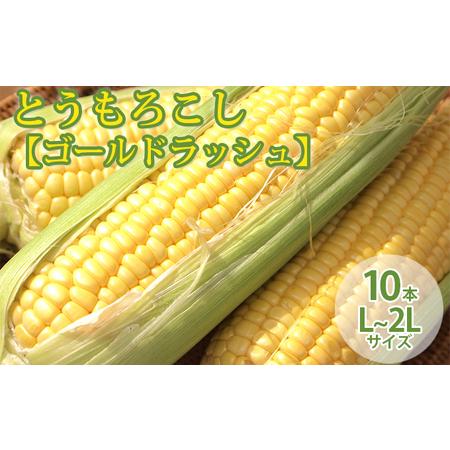 ふるさと納税 北海道 富良野産 とうもろこし ≪ゴールドラッシュ≫ L〜2Lサイズ 10本 沖縄 離島不可 (鷲見農園) 北海道富良野市