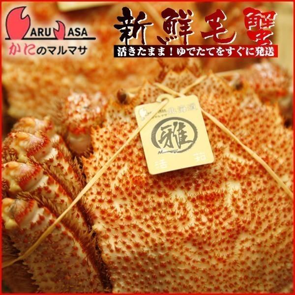 熟成鮭手ほぐし160g＆北海道産 毛がに350g＆いくら醤油漬け90g 1本海鮮セット 毛蟹 毛ガニ カニ通販 道産品 お歳暮 ギフト