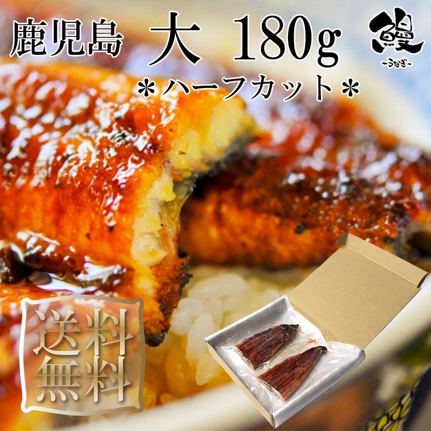 うなぎ蒲焼 ハーフカット 大 180g 御歳暮 ギフト プレゼント 送料無料 鹿児島産 鰻