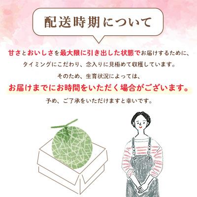 ふるさと納税 富良野市 富良野メロン　秀品　赤肉約2.5kg×1玉