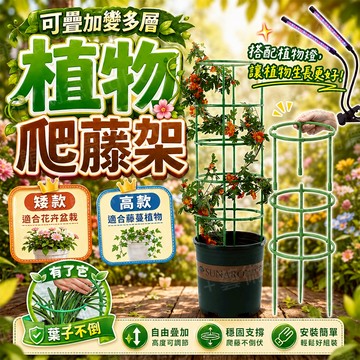 含稅出貨🔥植物爬藤架 植物支撐架 爬藤支架 盆栽支架 藤架 爬藤花架 植物攀爬架 花盆支架 蘭花支架 花卉支撐杆