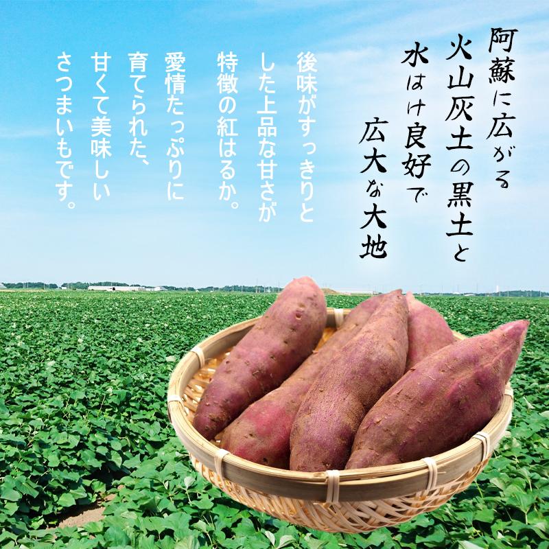 熊本県産訳あり 紅はるか 3ｋｇ 大中小サイズ混合（不選別）Ｂ級品 さつまいも 期間限定　生芋　から芋　サツマイモ　はるか　訳あり