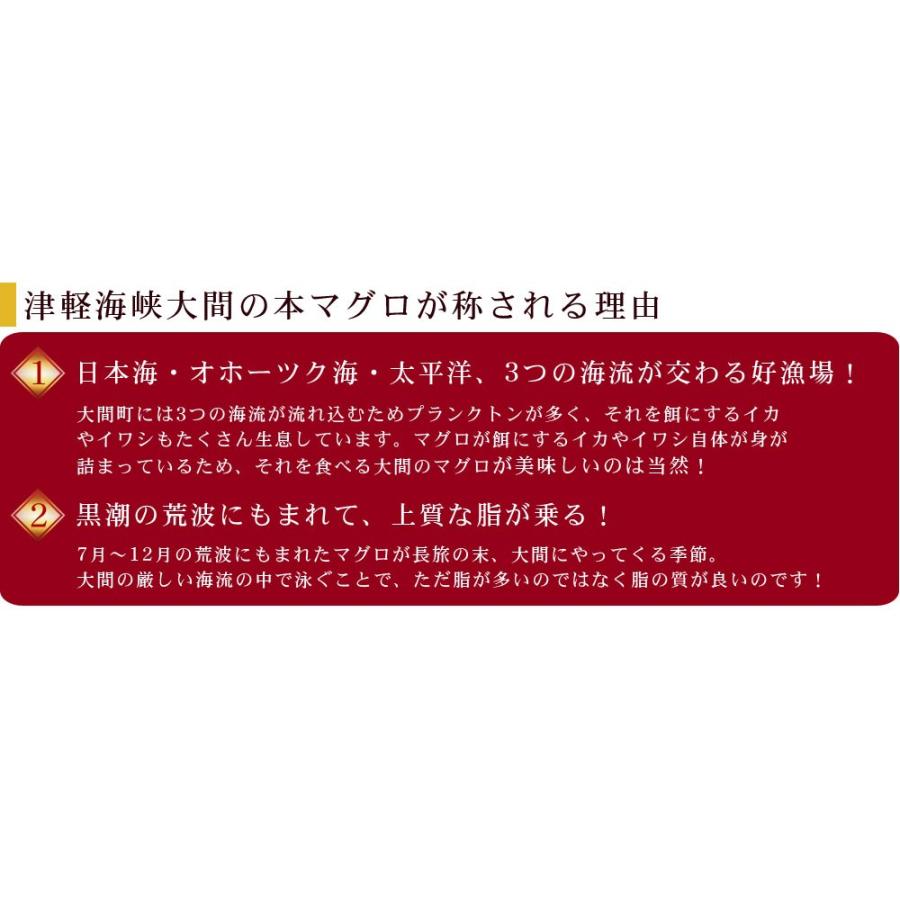 青森 大間 本マグロ 送料無料  まぐろ 大間 マグロ 鮪 刺身 ギフト [※冷凍便][※同梱不可]