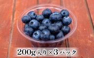 生ブルーベリー 200g×3パック