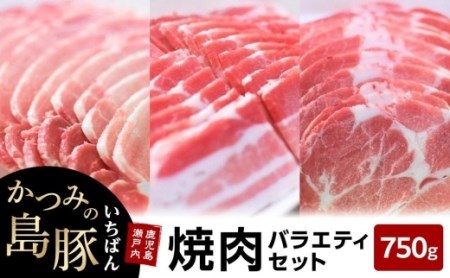 かつみの島豚いちばん焼肉バラエティセット750g（250g×3パック）