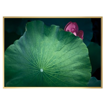 Boluo 菠蘿選畫所 青翠欲滴荷葉掛畫 清新居家裝飾 提升空間質感  40 x 30cm  金色