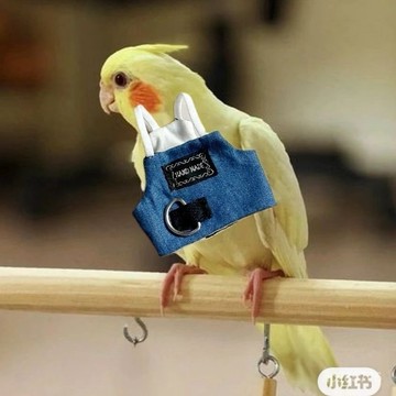 寵物鸚鵡鳥超輕背帶背心外出牽引衣服防止飛丟飛行服