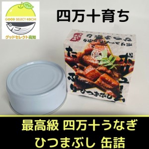 缶詰 うなぎ 鰻 国産 最高級 四万十うなぎ ひつまぶし 1缶