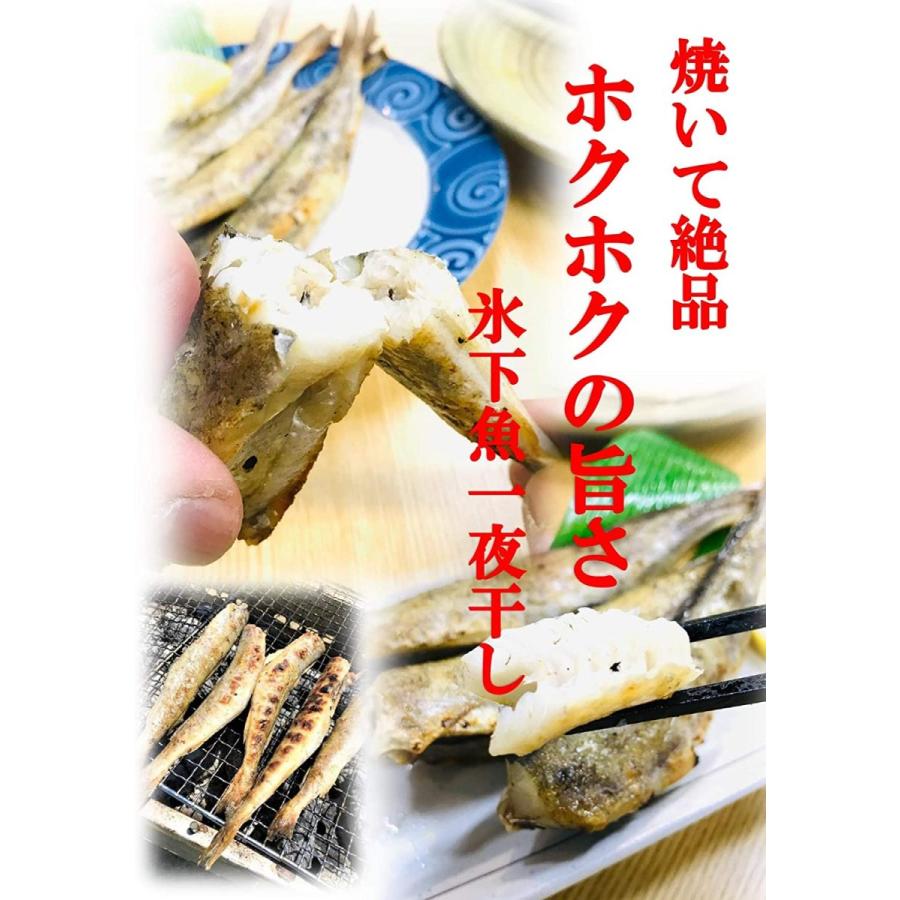 コマイ 一夜干し 1kg北海道 根室産 ＭＳサイズ 約３０尾前後入) 化粧箱入り 北の美味しさ！満天☆青空レストランでも紹介されました！ 氷下魚 こまい 干物