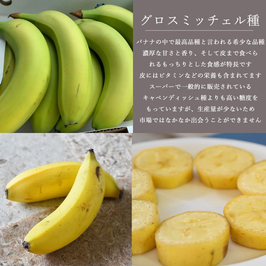 バナナ 国産無農薬 新潟県産 越後バナーナ 約500gギフトボックス 皮ごと食べられるバナナ フルーツ 贈り物 贈答 数量限定 最高級バナナ