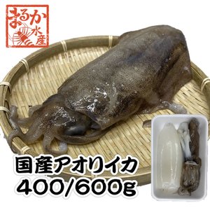 天然アオリイカ　国産　400 600g冷凍[魚介類]