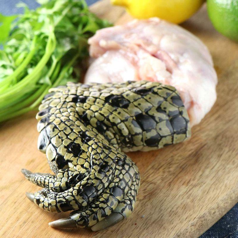 ミートガイ クロコダイルつめ (ワニ肉) (約250g)BBQ 鰐肉 Australian Crocodile Claw