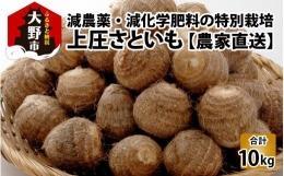 上庄さといも 10kg 減農薬・減化学肥料の特別栽培里芋