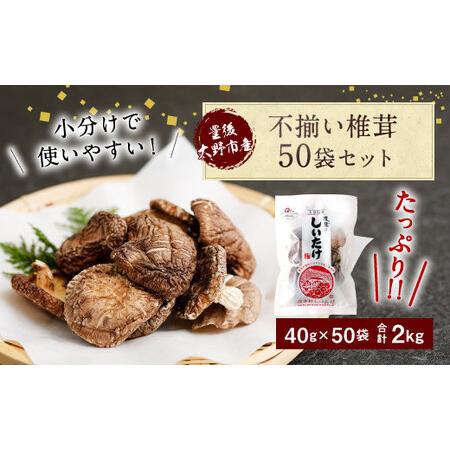 ふるさと納税 015-963 不揃い 椎茸 50袋セット 40g×50袋 合計2kg 干し