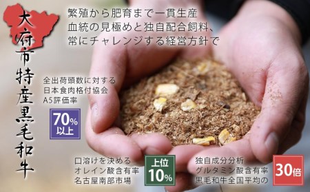 大府特産A5黒毛和牛下村牛極上シャトーブリアン4枚入り約520g    極上シャトーブリアン和牛肉 極上シャトーブリアン牛肉 極上シャトーブリアン下村牛肉