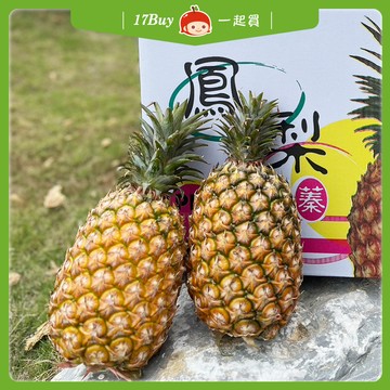 預購免運★7個工作日內出貨【一起買】神農安心級金鑽鳳梨