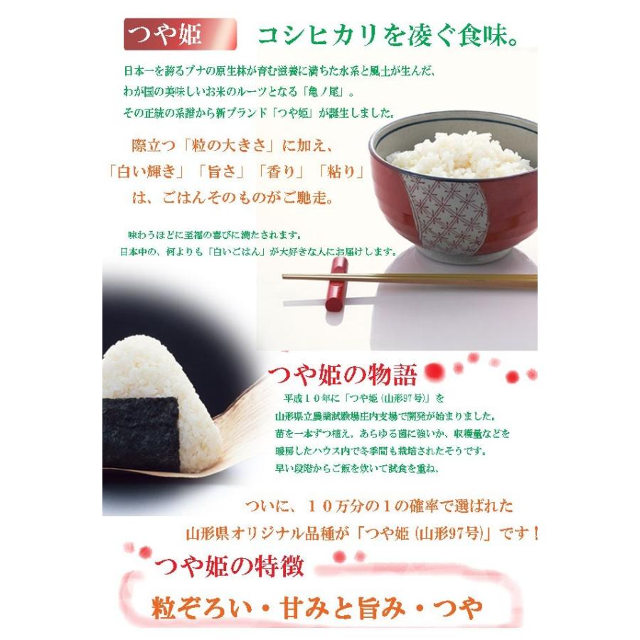 米 つや姫 5kg 送料無料 令和5年産 山形県産 コメ