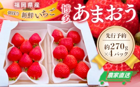 農家直送 博多あまおう 約270g×4パック 福岡県産 先行予約 2024年1月より順次発送 NY002