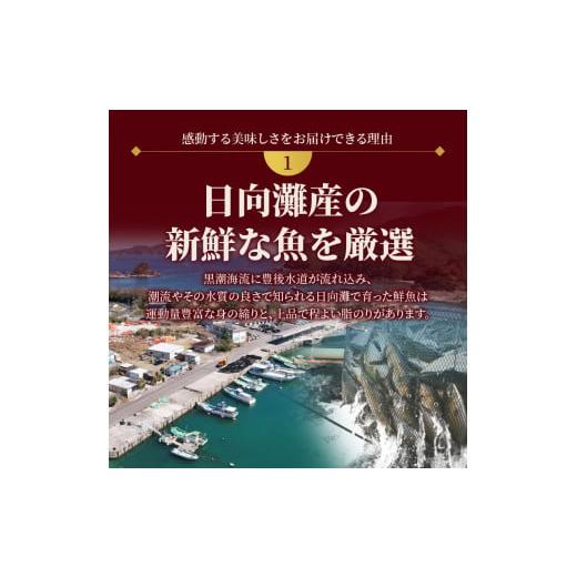 ふるさと納税 宮崎県 延岡市 日向灘 お魚の漬け丼 バラエティ 5回 定期便　N019-ZD0117　請関水産