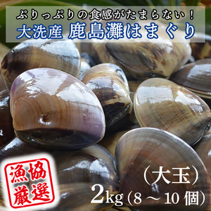 大洗産鹿島灘天然はまぐり 2㎏ 冷蔵 お吸い物 ハマグリ 蛤 貝 砂抜き処理 魚介類 大洗産 天然 はまぐり