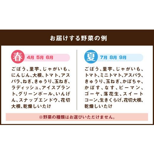 ふるさと納税 大分県 竹田市 何が届くかお楽しみ！竹田市産！季節の『野菜箱』8~12種