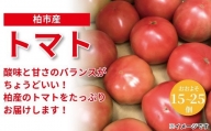 柏市場直送トマト　4.5kgセット