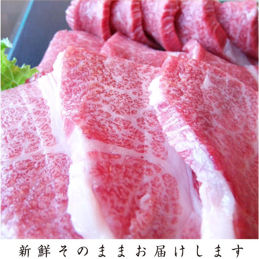 牛肉 肉 黒毛和牛 A4,5等級 とろける カルビ 焼肉 3kg （250g×12） 凍眠 テクニカン お歳暮 ギフト 食品 プレゼント 女性 男性 お祝い グルメ