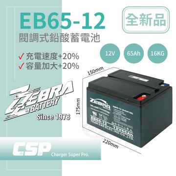 【CSP】EB65-12 銀合金膠體電池 12V65A 電動搬運車 電動堆高機 電動叉車 油壓拖板車 電動輪椅