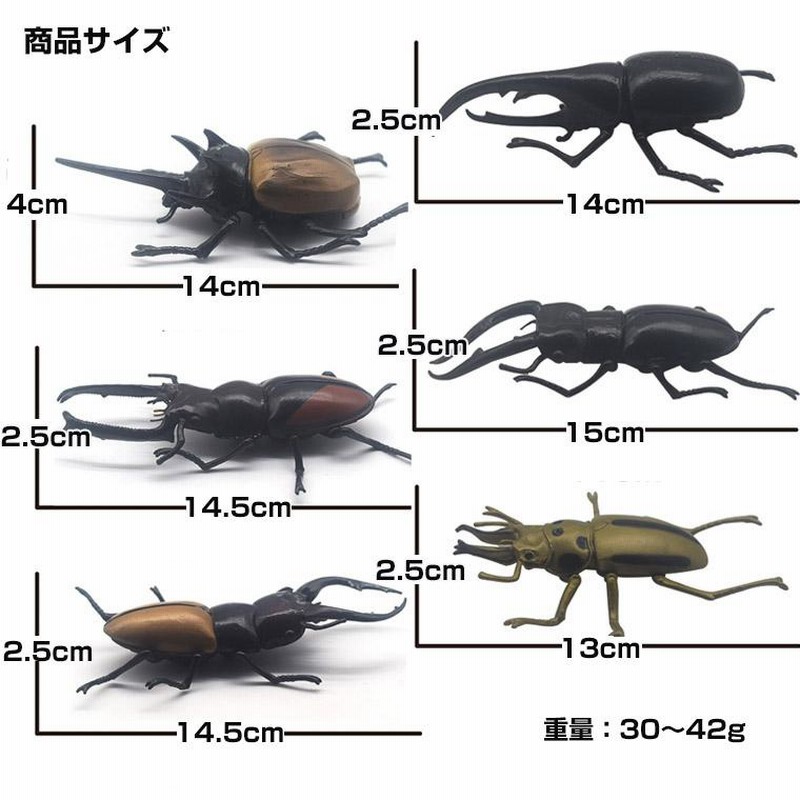 カブトムシ クワガタ 昆虫 セット 甲虫 大きい リアル おもちゃ、昆虫 模型 フィギュア コレクション | LINEブランドカタログ