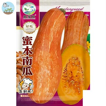 【原廠包裝】蜜本南瓜種子（Honey Pumpkin）35粒 栗子南瓜 香甜鬆綿 家庭菜園 陽台盆栽 爬藤植物 台灣現貨